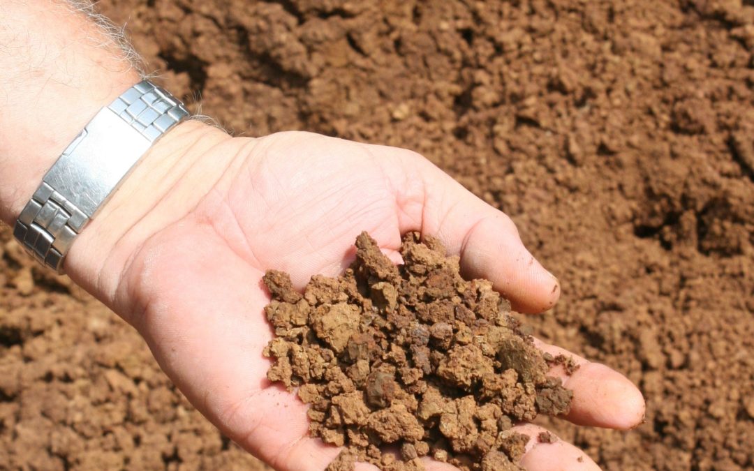 Biosolids, Their Benefits, and Schwing Bioset Solutions